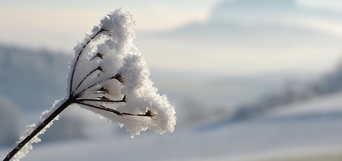 De Lals Ich Mich Begann Selbst Zu Lieben